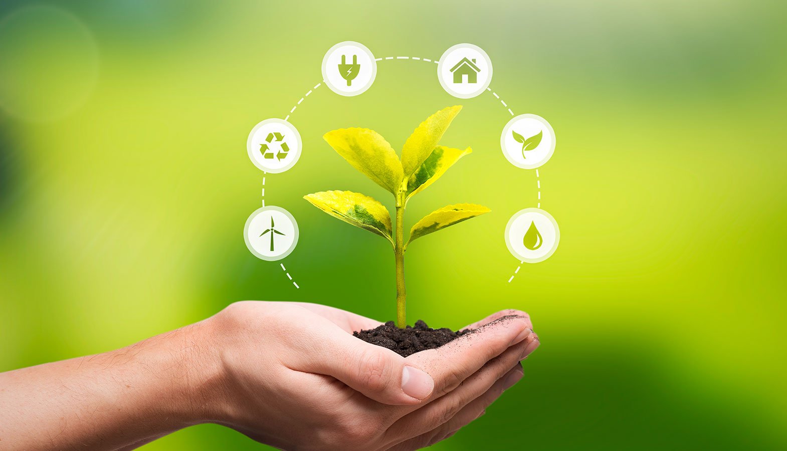 Sustentabilidade na Construção Civil: Edificando um Futuro Mais Verde